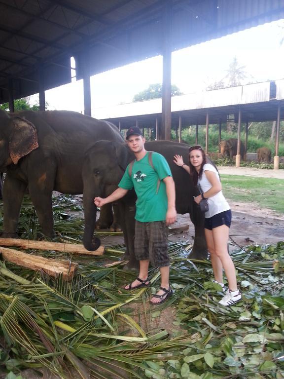 Elephant Reach Villa Pinnawala Pinnawala  Exterior foto