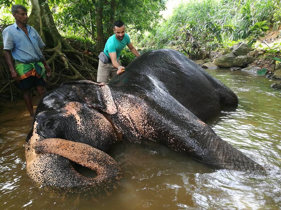 Elephant Reach Villa Pinnawala Pinnawala  Exterior foto